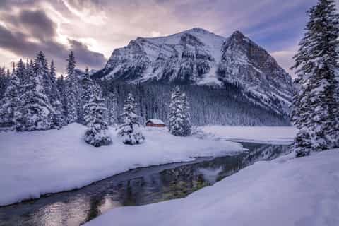 The BEST Lake Louise, Alberta Snowshoe tours 2025 FREE