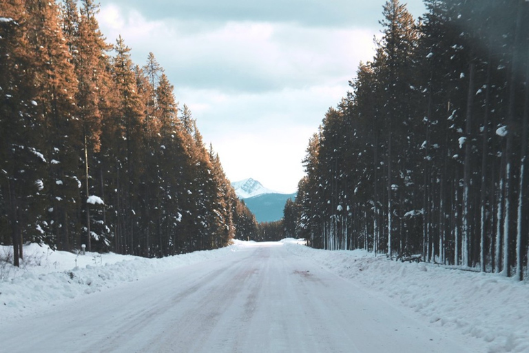 Najlepsze z Banff Winter | Lake Louise, zamarznięte wodospady i nie tylkoNajlepsze w Banff Winter: Lake Louise, Frozen Falls i nie tylko