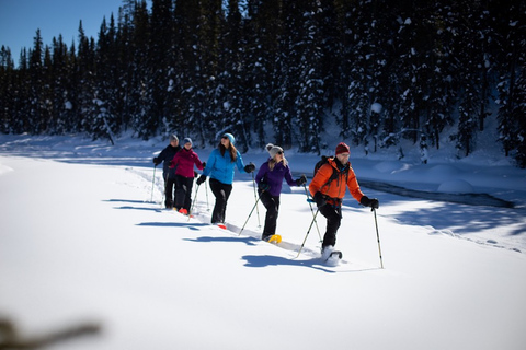 Najlepsze z Banff Winter | Lake Louise, zamarznięte wodospady i nie tylkoNajlepsze w Banff Winter: Lake Louise, Frozen Falls i nie tylko