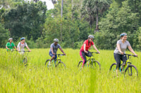Siem Reap, Tour de bicicleta de campo guiado - Housity