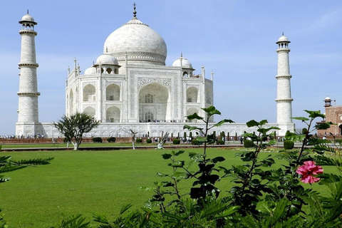 From Delhi: Sunrise Taj, Agra Fort & Baby Taj with Tuk-Tuk Agra Local Licensed Guide Service Only