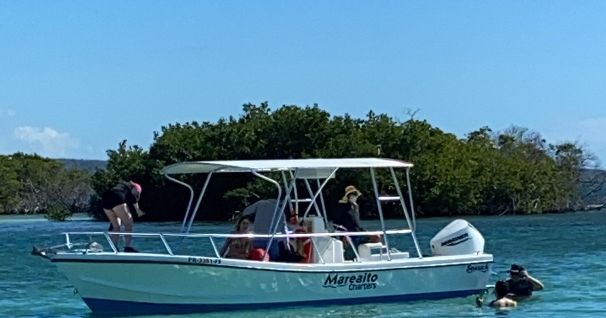 From La Parguera Local Sandbars Speedboat Day Trip GetYourGuide