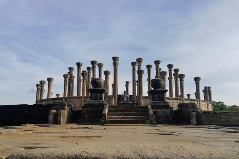 Polonnaruwa Ancient City & Minneriya Safari Full-Day Tour