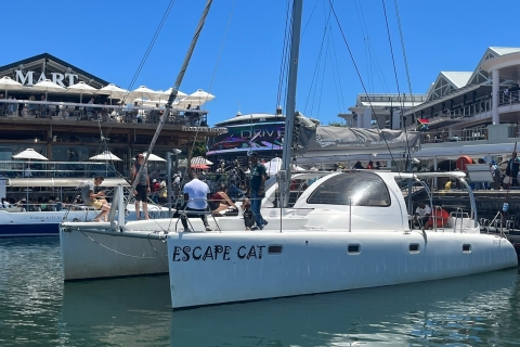 Ciudad del Cabo: Crucero al atardecer en catamarán por la Bahía de la Mesa