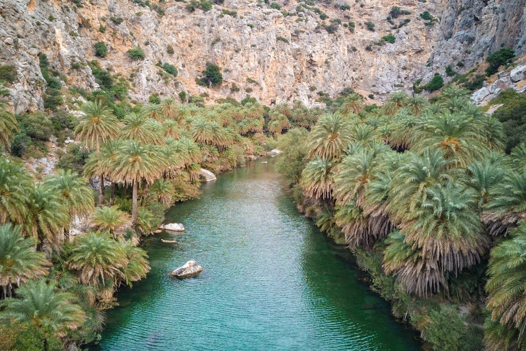 Desde Herakleion: Excursión de un día a la Playa de Preveli y a la Playa de DamnoniDesde Heraklion y Ammoudara