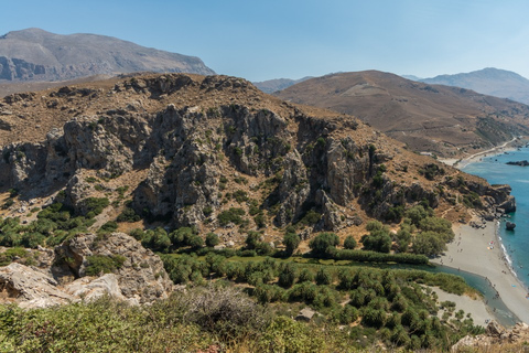 Van Herakleion: dagtocht naar Preveli-strand en Damnoni-strandVan Malia, Chersonissos en Stalis