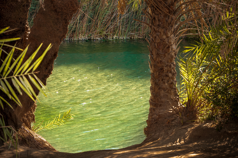 From Herakleion: Day Trip to Preveli Beach & Damnoni Beach From Malia and Stalis