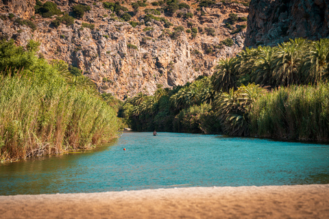 Au départ d'Hérakléion : Excursion d'une journée à la plage de Preveli et à la plage de DamnoniDepuis Heraklion et Ammoudara