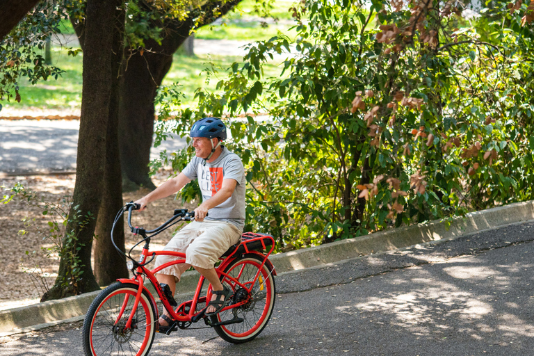 Nice: E-bike tour met panoramische Franse Riviera