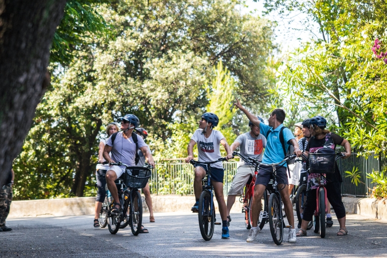 Nicea: E-Bike City Highlights Tour