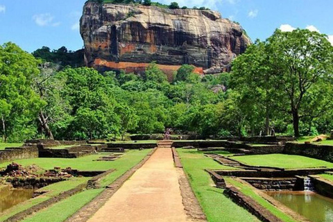 Colombo: Sigiriya Rock Fortress & Dambulla Day Trip