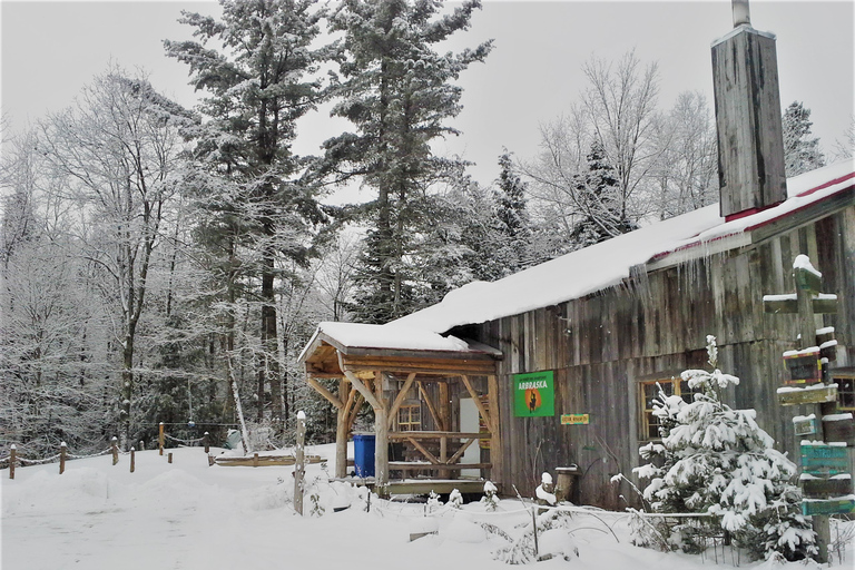 From Montreal: Zip-Lining and Snowshoeing Mountain Day TripFrom Montreal: Ziplining and Snowshoeing at Mt. Pontbriand