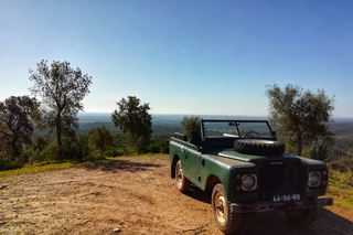 2hr Cork Safari in a Classical Land Rover