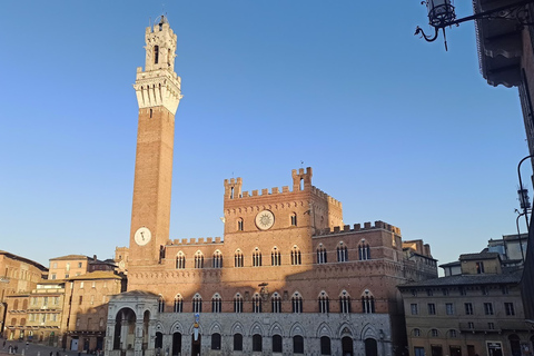 Von Florenz aus: Pisa + Siena mit Weinverkostung im Chianti