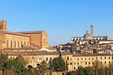 From Florence: Pisa + Siena with Wine Tasting in Chianti