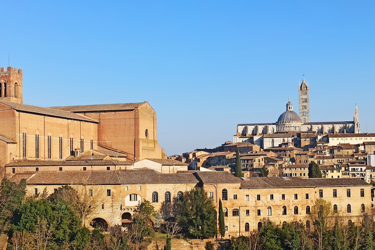 Von Florenz aus: Pisa + Siena mit Weinverkostung im Chianti