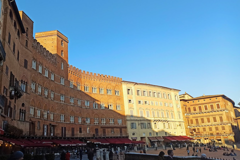 Von Florenz aus: Pisa + Siena mit Weinverkostung im Chianti