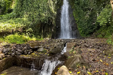 Kingstown: Cascading Dark View Falls and Beach Tour
