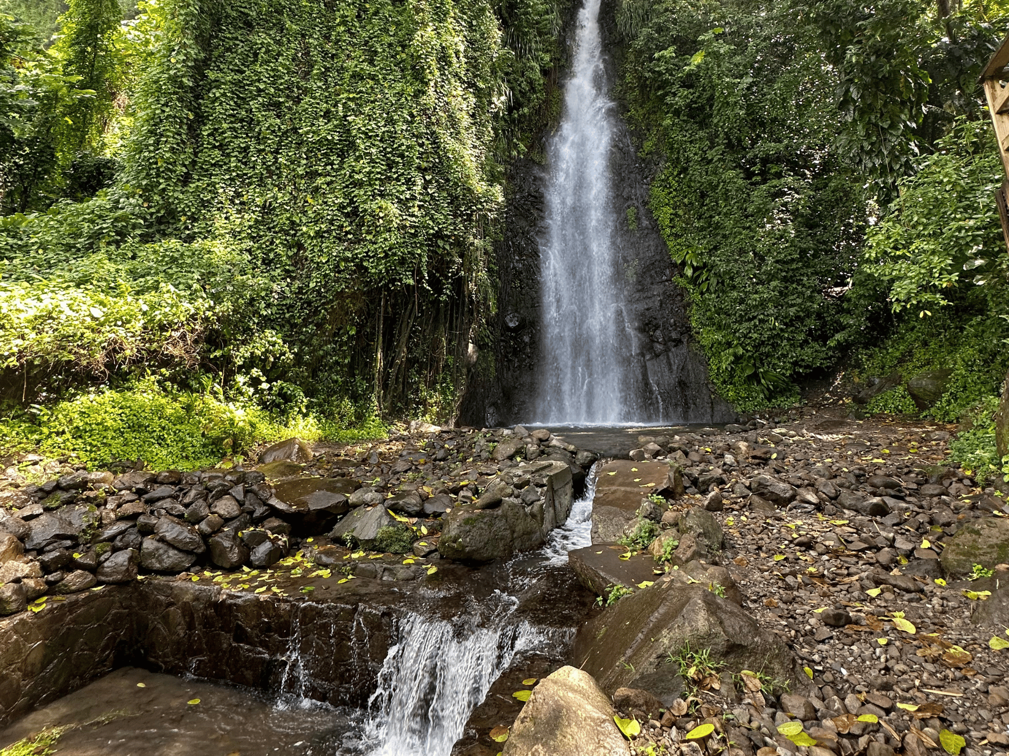 Kingstown: Cascading Dark View Falls und Beach Tour