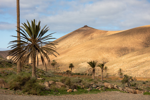 Fuerteventura: ruta de leyendas y costa salvaje