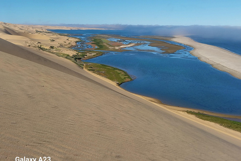 Walvis Bay : Pelican Point Seal et Sandwich Harbour Tour