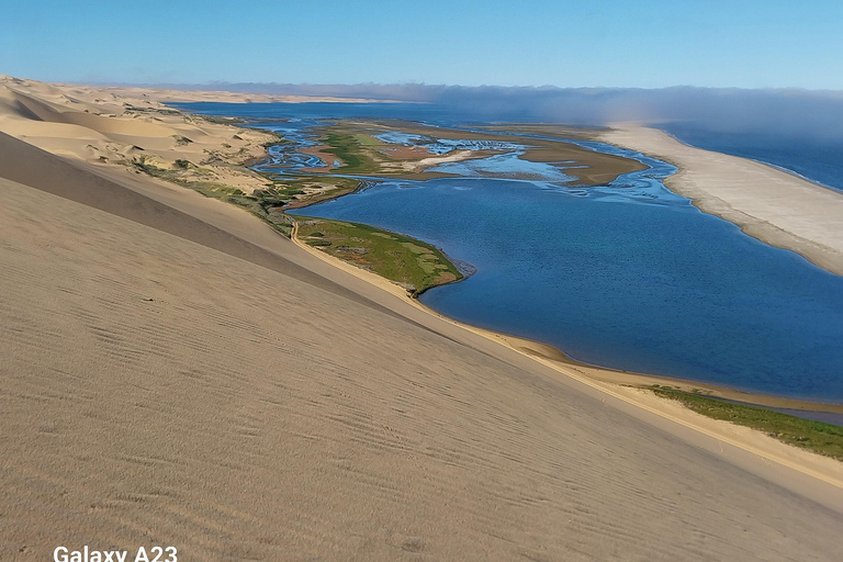 Walvis Bay: Pelican Point Zeehonden en Sandwich Haven Tour