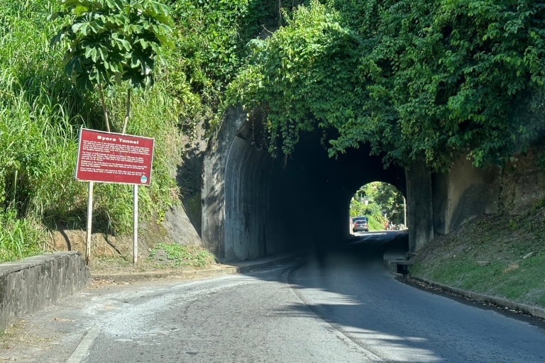 Owia Salzteich und Black Point Tunnel TourStandard Option
