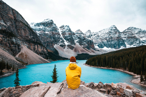 Lake Louise: Moraine & Louise Lake Half-Day Highlights Tour