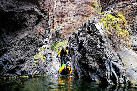 Tenerife: Passeio de canyoning aquático em Los Carrizales