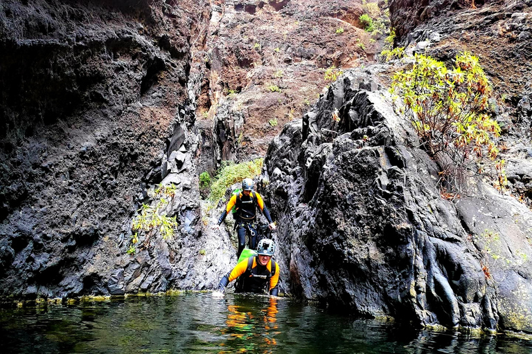 Canarias: Tenerife, Wet Canyoning Volledig dagprogrammaCanarias: Tenerife, Wet Canyoning Dagprogramma