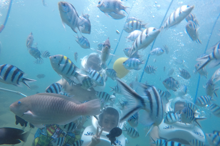 Cham Island: Underwater Walking & Snorkeling Tour Private Pick-up and Drop off at Da Nang Hotel