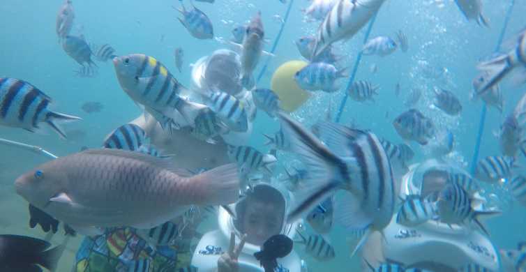 Cham Island Underwater Walking & Snorkeling Tour GetYourGuide