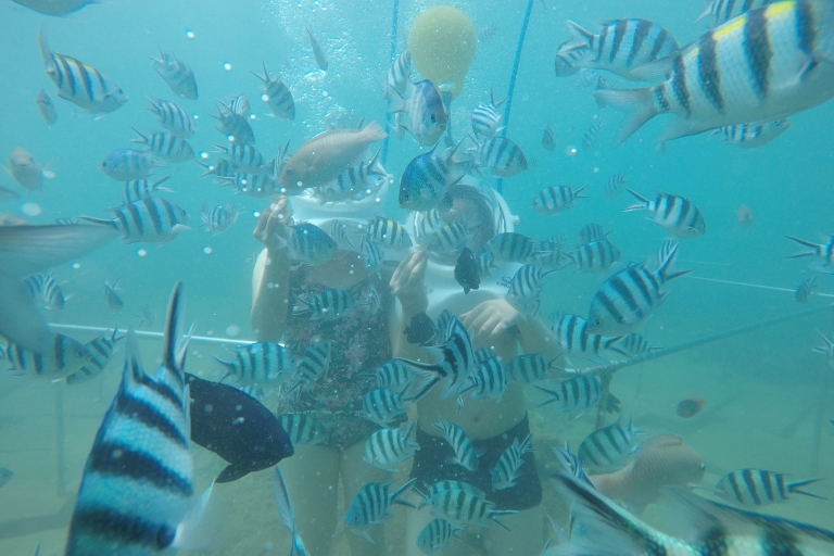 Cham Island: Underwater Walking & Snorkeling Tour Private Pick-up and Drop off at Da Nang Hotel