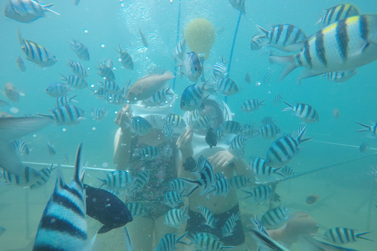 Cham Island: Underwater Walking & Snorkeling Tour Private Pick-up and Drop off at Da Nang Hotel