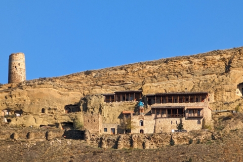 Tour todoterreno al monasterio de David Gareja y la montaña de coloresTour privado