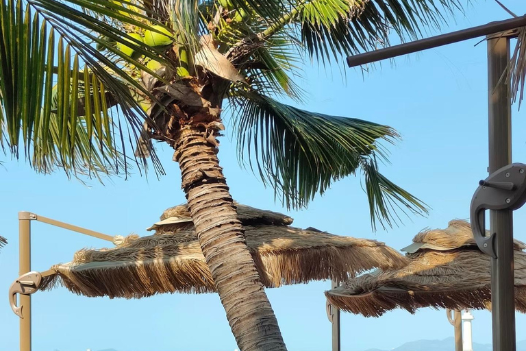 Sanya: Nanshan Scenic Area & Yazhou Ancient City Tour Guide for other languages