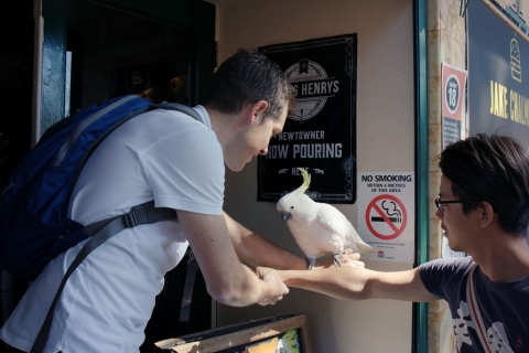 Sydney: piesza wycieczka z przewodnikiem z australijskimi przekąskami i napojami