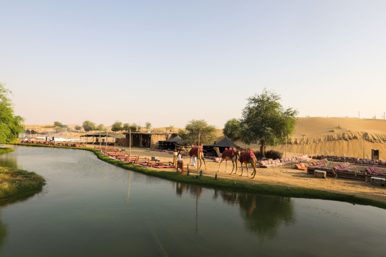 Dubai: Al Marmoom and Al Qudra Lakes Guided Tour with Dinner Shared Tour