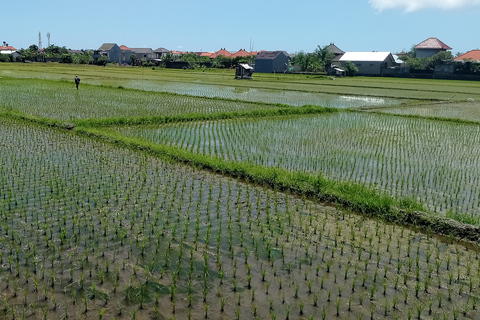 Ebike-tour door het dorp Sanur