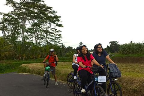 Excursión en Ebike por el pueblo de Sanur