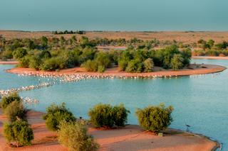 Lacs Al Qudra: Excursions à la journée depuis Dubaï