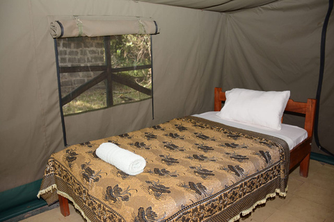 Z Nairobi: 3-dniowe/2-nocne safari w grupie Maasai MaraPrywatne safari na 3 dni/2 noce