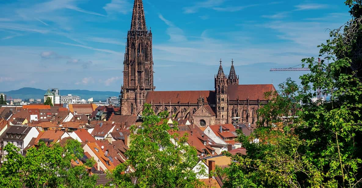 freiburg local tour