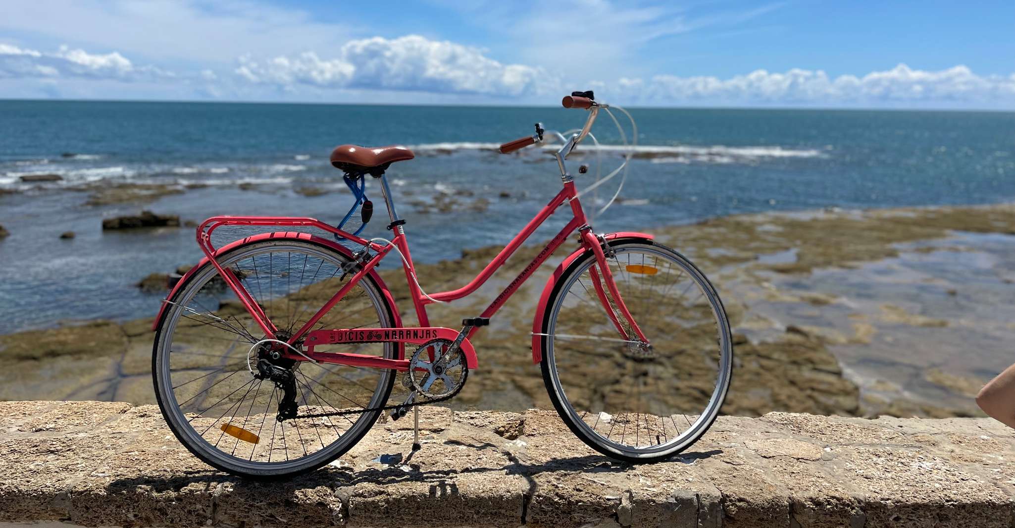 Cadiz: City Bike Tour photo 1