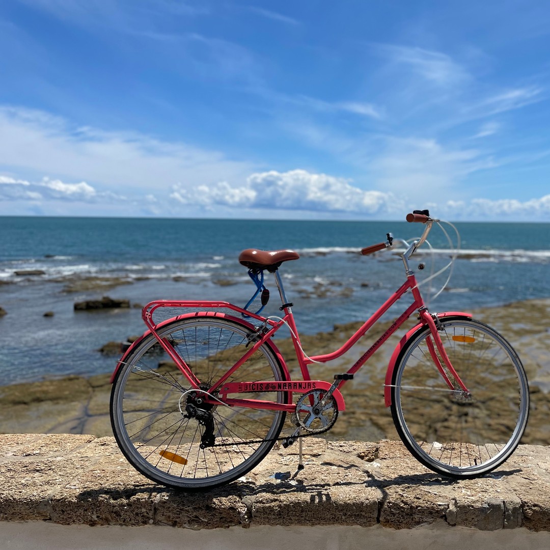 Galería de fotos para redes