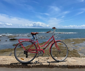 Cádiz: Tour de la ciudad en bicicleta