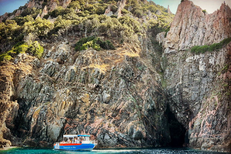 Near Ajaccio : Cruise to Piana Scandola cliff tasting sunset From Tiuccia: Boat Tour on the Gulf of Porto with Sunset