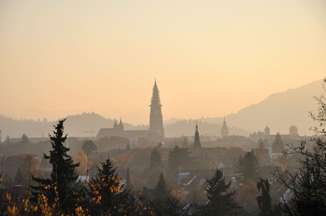 Visit Freiburg Capture the most Photogenic Spots with a Local in Staufen im Breisgau