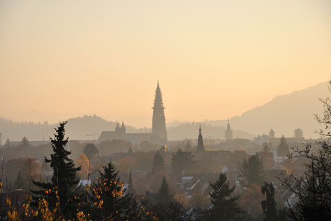 Freiburg: Capture os pontos mais fotogênicos com um morador localTour guiado pelos destaques fotogênicos com um morador local