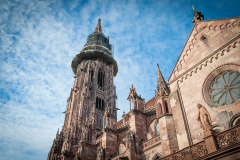 Leg de meest fotogenieke plekjes van Freiburg vast met een localFreiburg: begeleide schilderachtige wandeltocht met een local